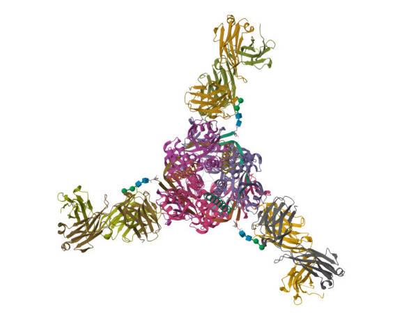 https://doi.org/10.2210/pdb6OUS/pdb