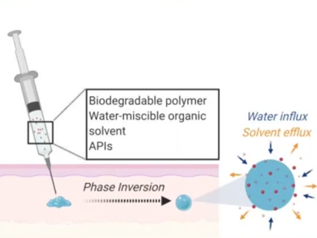 ISFI mechanism and drug release. A liquid solution incorporating a biodegradable polymer, water-miscible organic solvent, and APIs is subcutaneously administered and undergoes a phase inversion