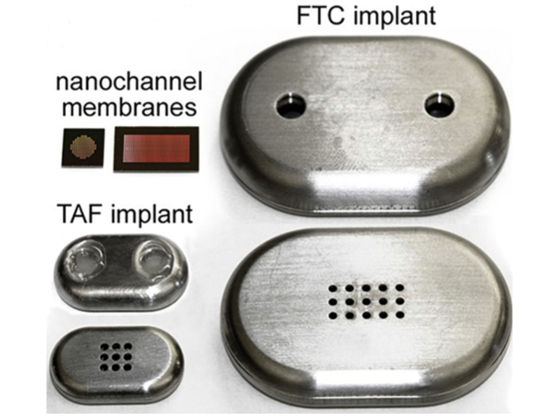 Nanochannel membranes of two different sizes, square (TAF) and rectangle (FTC); top and bottom view of NDI in medical-grade titanium for TAF (with silicon plug) and FTC (before affixing silicon plug)